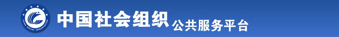 日屄大屌全国社会组织信息查询